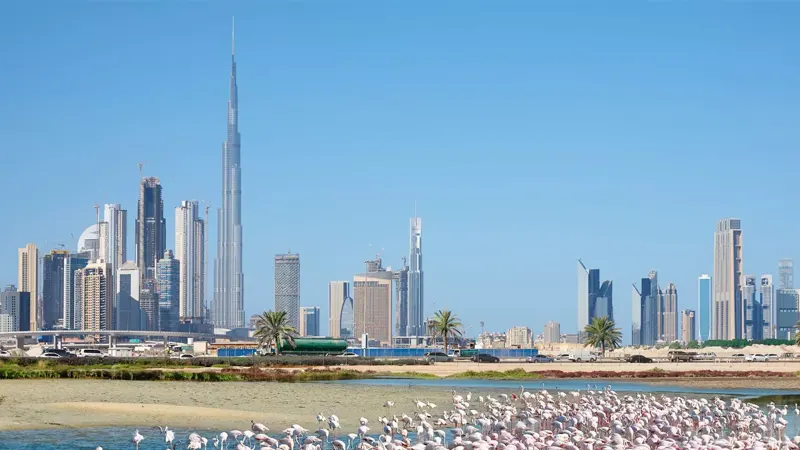 آپارتمان های لوکس 1 تا 3 خوابه آمال 8 از آمال در منطقه راس الخور